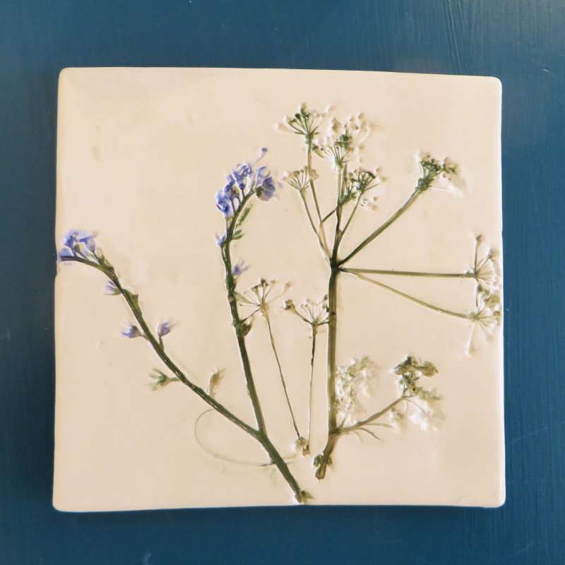 Cow Parsley and Forget-me-not Coaster